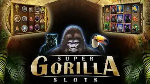 星空体育暴怒猩猩游戏，在狂野中赢得属于你的传说级奖励