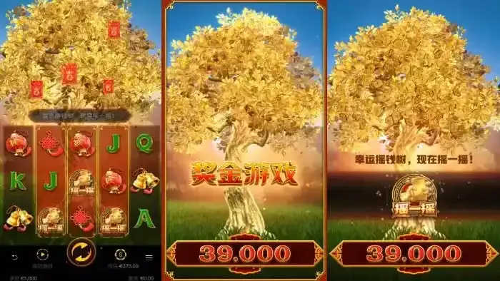 在星空体育体验PG电子摇钱树游戏